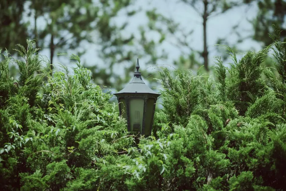 Greens & Outdoors at LODHA CODENAME PREMIER, Manpada, Thane