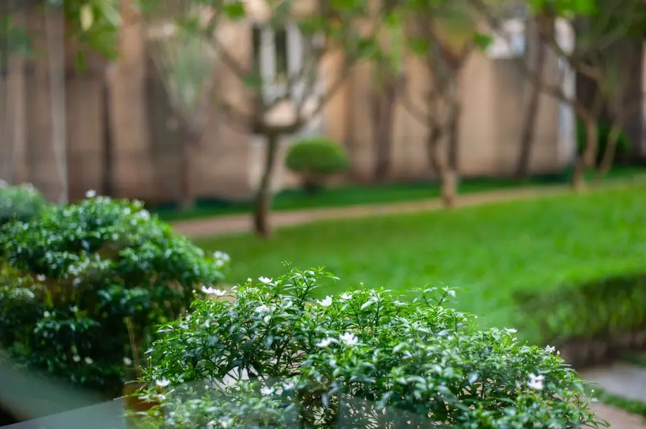 Greens & Outdoors at LODHA ELARIS, Vikhroli West, Mumbai