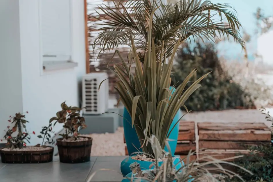 Greens & Outdoors at LODHA SOVRANO, Patel Estate, Mumbai