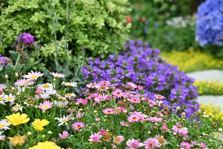Greens & Outdoors at LODHA PANVEL, Navi Mumbai
